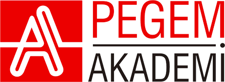 PEGEM AKADEMİ Logo Zeta Fotokopi